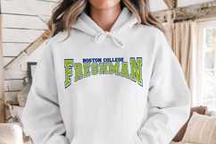Class of 2029 Freshman shirt svg, Custom First year svg Product Image 2
