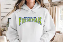 Class of 2029 Freshman shirt svg, Custom First year svg Product Image 2