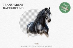 Friesian Horse Farm Animals Black Horses Clipart PNG Image Watercolor  Transparent Print for invitation t-shirt designs sublimation kids printable digital watercolor Friesian Horse, black horses clipart, sublimation nursery drawing, farm animals life