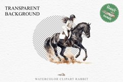 Friesian Horse Farm Animals Black Horses Clipart PNG Image Watercolor  Transparent Print for invitation t-shirt designs sublimation kids printable digital watercolor Friesian Horse, black horses clipart, sublimation nursery drawing, farm animals life