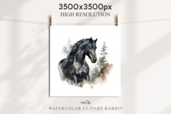 Friesian Horse Farm Animals Black Horses Clipart PNG Image Watercolor  Transparent Print for invitation t-shirt designs sublimation kids printable digital watercolor Friesian Horse, black horses clipart, sublimation nursery drawing, farm animals life