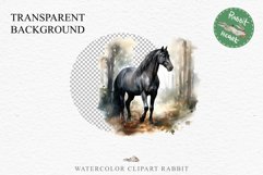Friesian Horse Farm Animals Black Horses Clipart PNG Image Watercolor  Transparent Print for invitation t-shirt designs sublimation kids printable digital watercolor Friesian Horse, black horses clipart, sublimation nursery drawing, farm animals life
