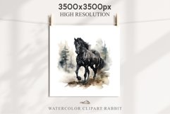 Friesian Horse Farm Animals Black Horses Clipart PNG Image Watercolor  Transparent Print for invitation t-shirt designs sublimation kids printable digital watercolor Friesian Horse, black horses clipart, sublimation nursery drawing, farm animals life