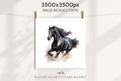 Friesian Horse Farm Animals Black Horses Clipart PNG Image Watercolor  Transparent Print for invitation t-shirt designs sublimation kids printable digital watercolor Friesian Horse, black horses clipart, sublimation nursery drawing, farm animals life