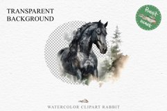Friesian Horse Farm Animals Black Horses Clipart PNG Image Watercolor  Transparent Print for invitation t-shirt designs sublimation kids printable digital watercolor Friesian Horse, black horses clipart, sublimation nursery drawing, farm animals life