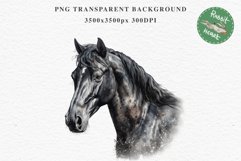 Friesian Horse Farm Animals Black Horses Clipart PNG Image Watercolor  Transparent Print for invitation t-shirt designs sublimation kids printable digital watercolor Friesian Horse, black horses clipart, sublimation nursery drawing, farm animals life