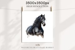 Friesian Horse Farm Animals Black Horses Clipart PNG Image Watercolor  Transparent Print for invitation t-shirt designs sublimation kids printable digital watercolor Friesian Horse, black horses clipart, sublimation nursery drawing, farm animals life