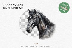 Friesian Horse Farm Animals Black Horses Clipart PNG Image Watercolor  Transparent Print for invitation t-shirt designs sublimation kids printable digital watercolor Friesian Horse, black horses clipart, sublimation nursery drawing, farm animals life