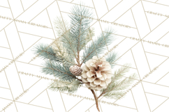 Frosted Florals Clipart PNG, Neutral Winter Botanicals Product Image 2