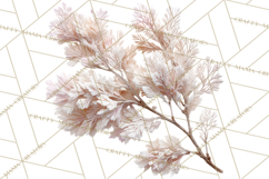 Frosted Florals Clipart PNG, Neutral Winter Botanicals Product Image 4