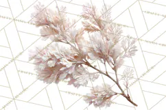 Frosted Florals Clipart PNG, Neutral Winter Botanicals Product Image 4