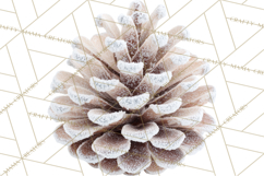 Frosted Florals Clipart PNG, Neutral Winter Botanicals Product Image 2