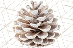 Frosted Florals Clipart PNG, Neutral Winter Botanicals Product Image 3