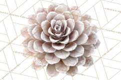 Frosted Florals Clipart PNG, Neutral Winter Botanicals Product Image 5