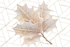 Frosted Florals Clipart PNG, Neutral Winter Botanicals Product Image 4