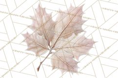 Frosted Florals Clipart PNG, Neutral Winter Botanicals Product Image 5