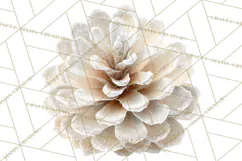 Frosted Florals Clipart PNG, Neutral Winter Botanicals Product Image 2