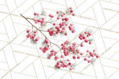 Frosted Florals Clipart PNG, Neutral Winter Botanicals Product Image 3