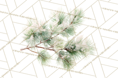 Frosted Florals Clipart PNG, Neutral Winter Botanicals Product Image 5