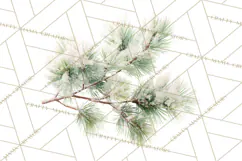 Frosted Florals Clipart PNG, Neutral Winter Botanicals Product Image 5