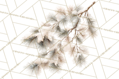 Frosted Florals Clipart PNG, Neutral Winter Botanicals Product Image 2