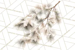Frosted Florals Clipart PNG, Neutral Winter Botanicals Product Image 2