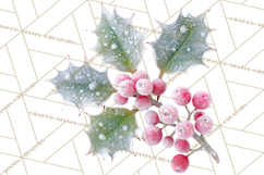 Frosted Florals Clipart PNG, Neutral Winter Botanicals Product Image 2