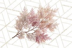 Frosted Florals Clipart PNG, Neutral Winter Botanicals Product Image 2
