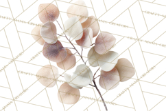 Frosted Florals Clipart PNG, Neutral Winter Botanicals Product Image 4