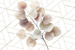 Frosted Florals Clipart PNG, Neutral Winter Botanicals Product Image 4