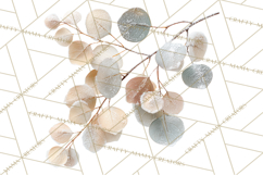 Frosted Florals Clipart PNG, Neutral Winter Botanicals Product Image 2