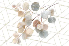Frosted Florals Clipart PNG, Neutral Winter Botanicals Product Image 2