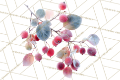 Frosted Florals Clipart PNG, Neutral Winter Botanicals Product Image 3