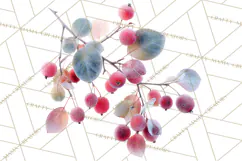 Frosted Florals Clipart PNG, Neutral Winter Botanicals Product Image 3