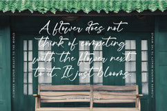 Froster Snowfow Stylish Handwritten Font Product Image 8