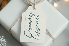 Froster Snowfow Stylish Handwritten Font Product Image 11