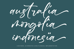 Froster Snowfow Stylish Handwritten Font Product Image 14