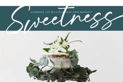 Froster Snowfow Stylish Handwritten Font Product Image 15