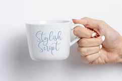 Frostsky Pinthera - Stylish Calligraphy Font Product Image 8