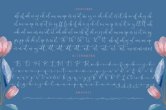 Frostsky Pinthera - Stylish Calligraphy Font Product Image 19