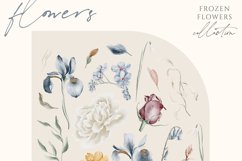Frozen Flowers Collection - Clipart PNG - Watercolor Florals Product Image 3