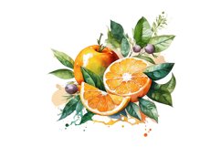 Watercolor Orange,Orange Wreaths,Watercolor clipart,Watercolor botanical,Orange clipart,Watercolor Frames,Flower arrangements,Orange Collection,Watercolor Bundle,Flower bundle,Ranunculus clipart,Watercolor png,orange watercolor,Citrus clipart,cutie clipar