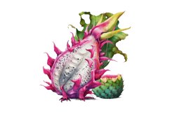 digital crafting,clipart pack,watercolor painting,digital download,digital planner,clipart bundle,commercial use,Printable Wall Art,fruit clipart,food clipart,watercolor fruit,Dragon Fruit png,Dragon Fruit clipart,pink fruit,tropical fruit,dragon fruit,cl