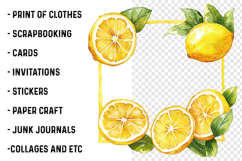 Fruit Summer Frame Png Product Image 2