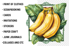 Fruit Summer Frame Png Product Image 2