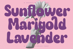 Fruity Candy - Groovy Display Font Product Image 3