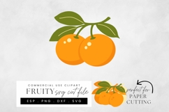 Orange SVG Cut File, Layered Citrus Papercraft Design Product Image 1