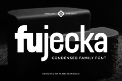 Fujecka Product Image 1