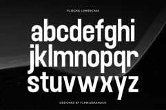 Fujecka Product Image 7