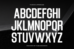 Fujecka Product Image 6